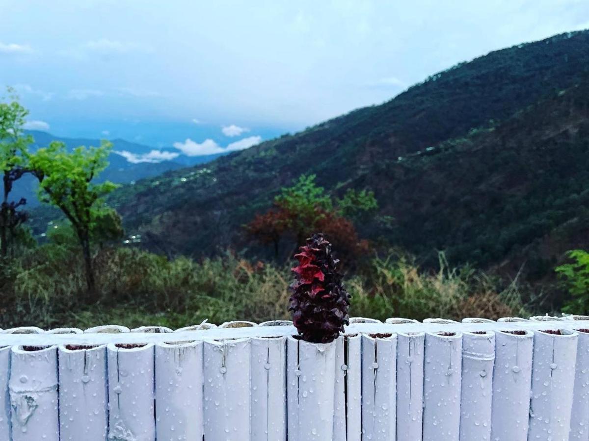 Pahaadi Dhun Homestay Chamba  Luaran gambar