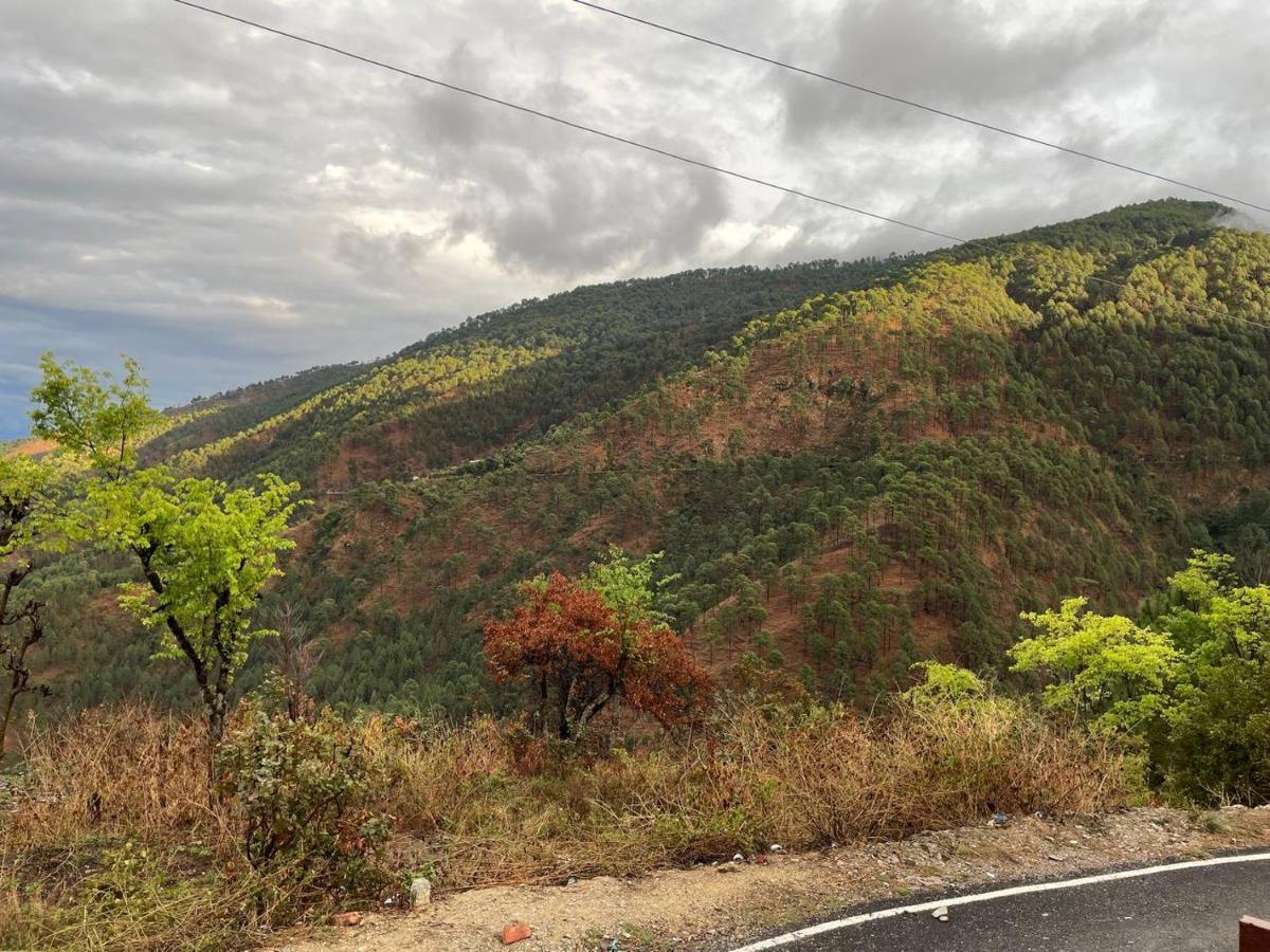 Pahaadi Dhun Homestay Chamba  Luaran gambar